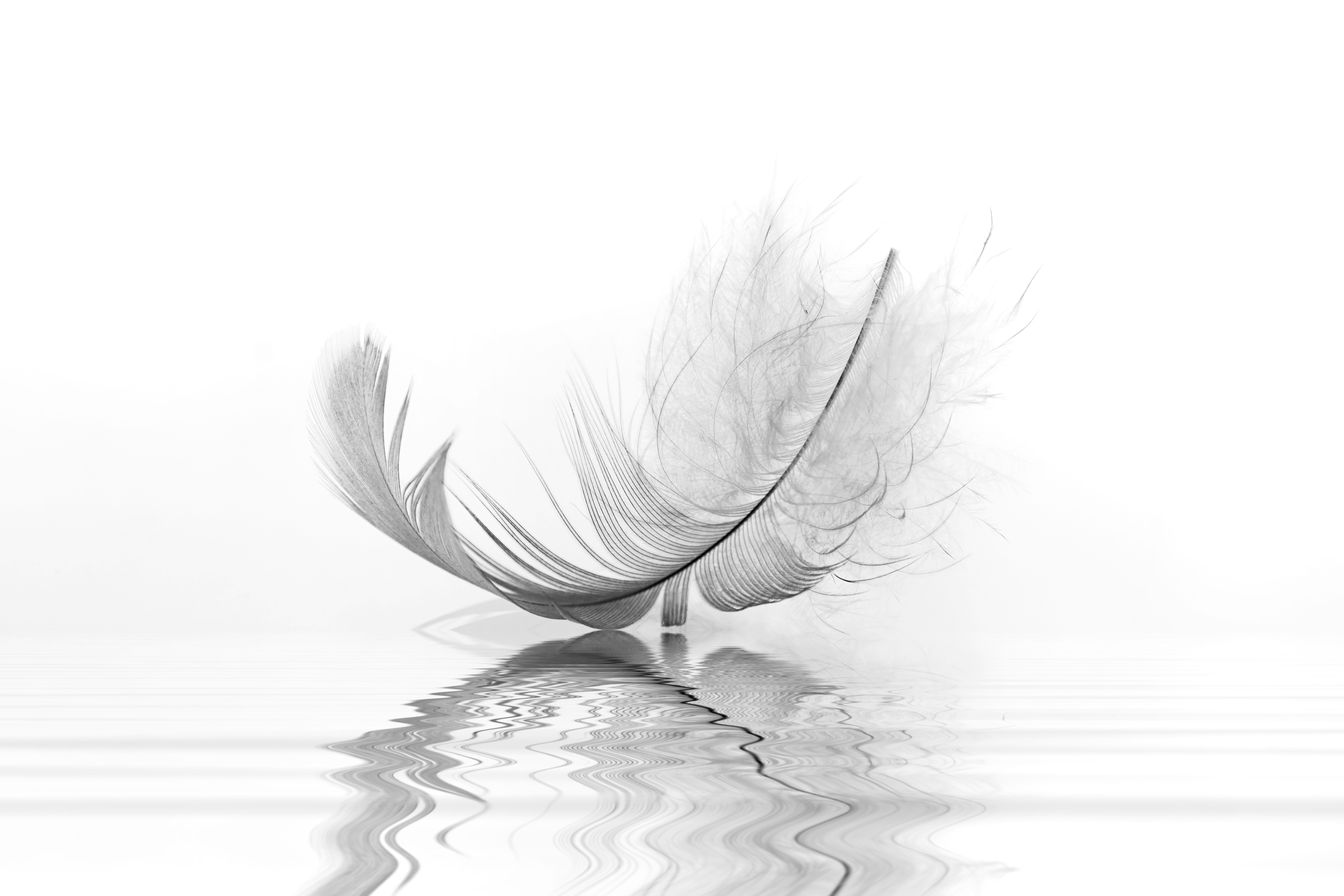 AdobeStock_224396170